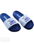 ETOBICOKE DOLPHINS - SLIDES