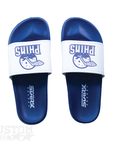 ETOBICOKE DOLPHINS - SLIDES